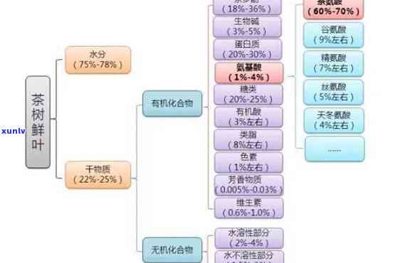 茶里面什么成分提神-茶里面什么成分提神效果