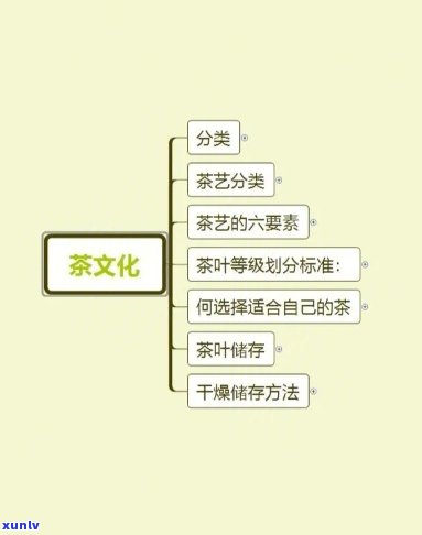 六大茶艺的分类方式-六大茶艺的分类方式是什么