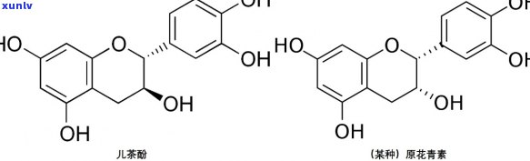 茶多酚的主体成分为A泛酸和羧酸类：合成与性质研究