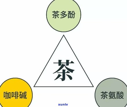 茶多酚的主体成分是A：泛酸、羧酸类