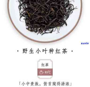 恩龙马小叶茶红茶-恩龙马小叶茶红茶价格