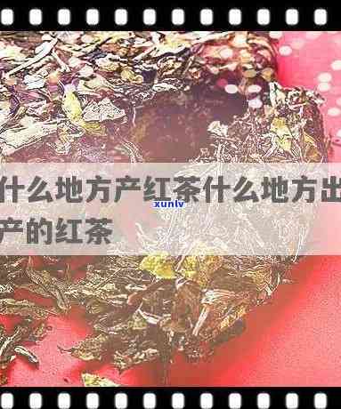 江溧阳有什么红茶产地？盘点溧阳特色红茶