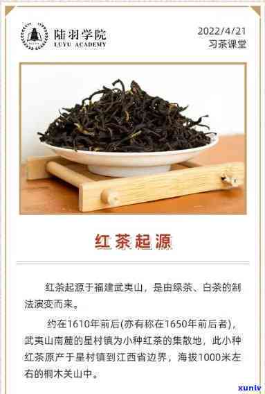 最早传入洲的红茶是，探究历：最早传入洲的红茶源自何处？