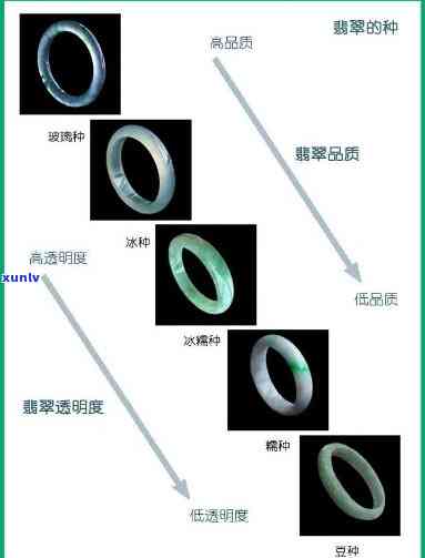 如何分辨翡翠种质：全面解析与实操指南