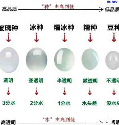 怎样区分翡翠的种、种水和种老种嫩？