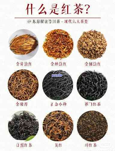 400一斤的红茶什么档次，400元一斤的红茶是属于哪个档次的产品？