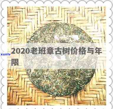 老班章古树黄叶价格-2020老班章古树价格