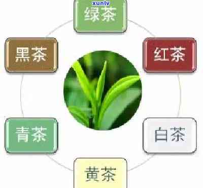 茶按照色泽可分为：白茶、黄茶、绿茶、青茶、红茶、黑茶等六类