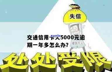 信用卡欠5000逾期六年，交通罚款多少？