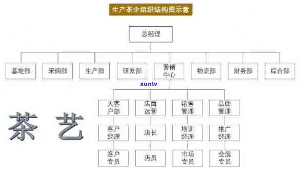 深入解析：茶艺所具备的四个核心功能