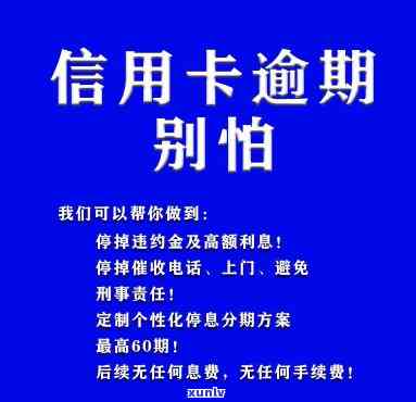 冰种玉镯价格全解：多少钱？图片展示！