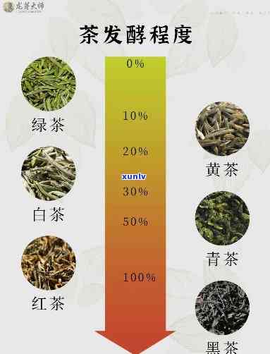 东方美人：红茶还是绿茶？探讨其分类归属