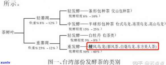 东方美人：红茶还是绿茶？探讨其分类归属