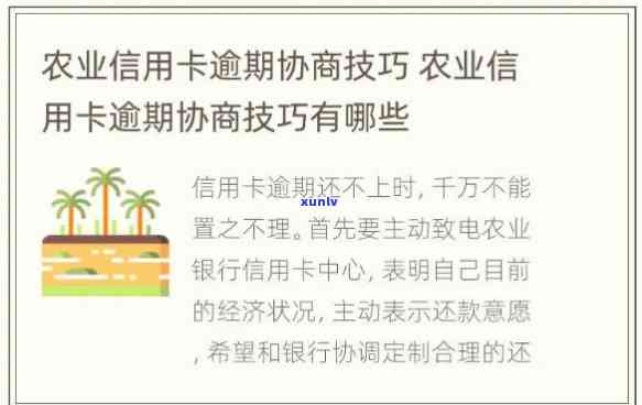 全攻略：逾期协商技巧，农业、民生信用卡逾期协商技巧详解