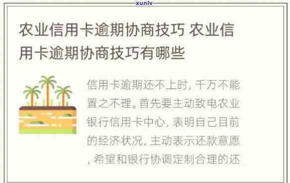 全攻略：逾期协商技巧，农业、民生信用卡逾期协商技巧详解