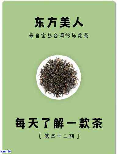 东方美人属于什么茶类？红茶、黄茶还是青茶？