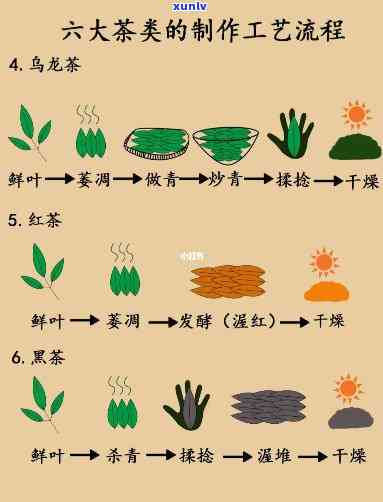 探究茶的 ***  *** ：种类、步骤及图片全解析