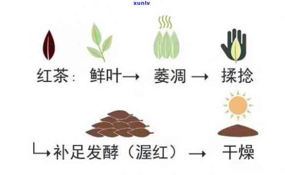 怎样查信用卡是否逾期及还款记录