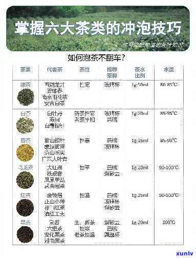 茶泡几分合适？不同种类茶叶需要的时间解析