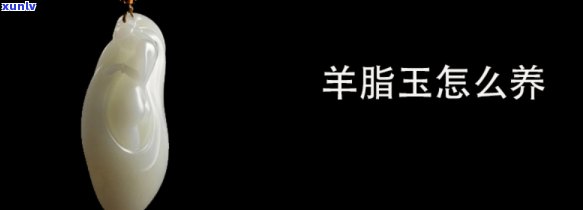 如何养羊脂玉石，新手指南：如何养护美丽的羊脂玉石？