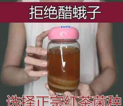 养红茶菌能子吗视频，揭开红茶菌养殖的秘密：能否上子？看视频揭晓！