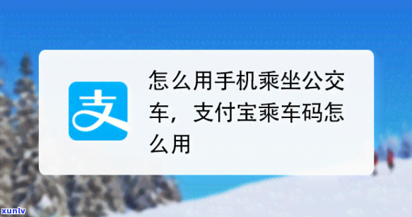 支付宝花呗逾期开通不了公交乘车码，支付宝花呗逾期作用公交乘车码开通，需尽快还款