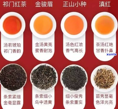 汕头最出名的好喝茶叶是什么？排行榜揭晓！