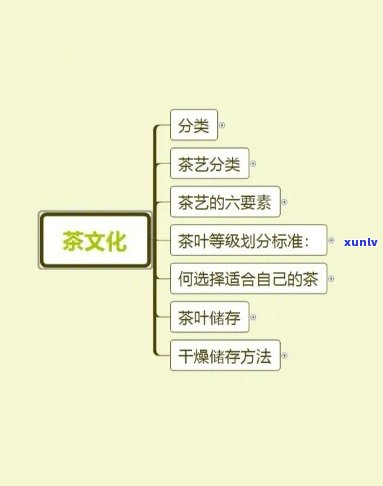 冰岛古树茶的特点、冲泡 *** 与功效解析