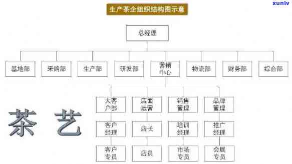 茶艺分类标准：全面解析各类茶艺及其特点