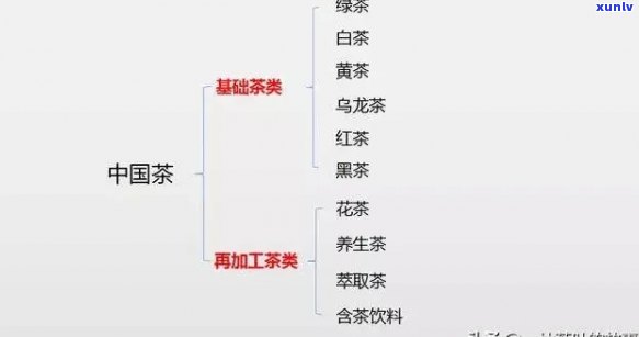 茶学知识体系：全面解析其主要内容与构成要素