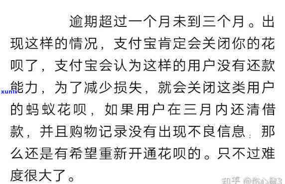 拼多多的大益普洱茶购买攻略：品质、价格、推荐与评价一应俱全