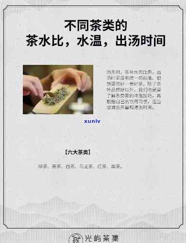 茶一般泡几分饮用？专家解析冲泡时间