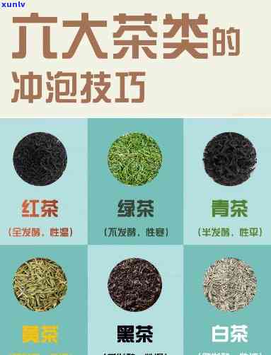 茶一般泡几分饮用？专家解析冲泡时间