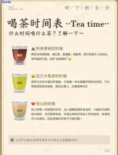 茶一般泡几分饮用？专家解析冲泡时间