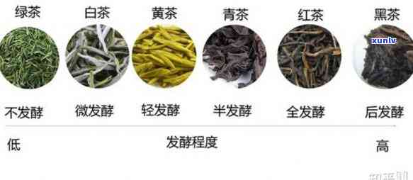 世界著名四大红茶是哪四种？详解茶类与茶叶的区别