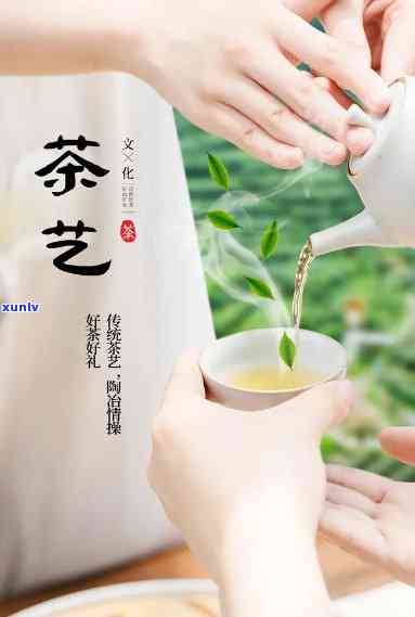 茶艺类型的划分原则是什么，探究茶艺类型的划分原则