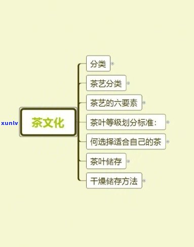 茶艺分类的基本原则有哪些，探析茶艺分类的基本原则