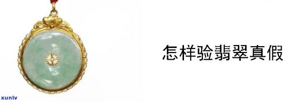 冰岛茶产地在哪里多少钱一斤？探讨其价格与来源