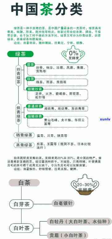 在茶膳分类中是指-茶膳的分类