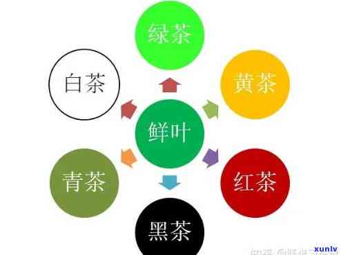 方回春堂熬夜茶：缓解失眠，助力煎药效率提升