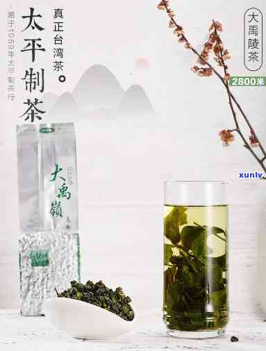 104k大岭茶，探寻高山好茶：104k大岭茶的魅力与特色