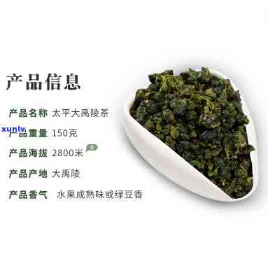 104k大岭茶，探寻高山好茶：104k大岭茶的魅力与特色