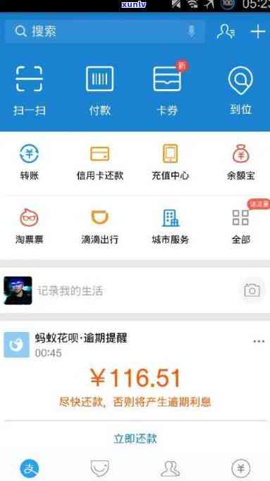 支付宝逾期花呗截图-支付宝逾期花呗截图能用吗