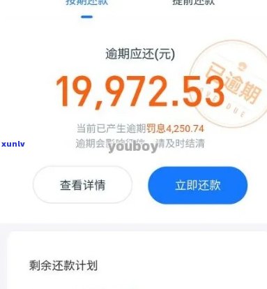 支付宝逾期花呗截图-支付宝逾期花呗截图能用吗