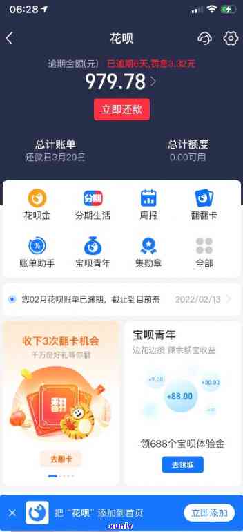 支付宝逾期花呗截图-支付宝逾期花呗截图能用吗