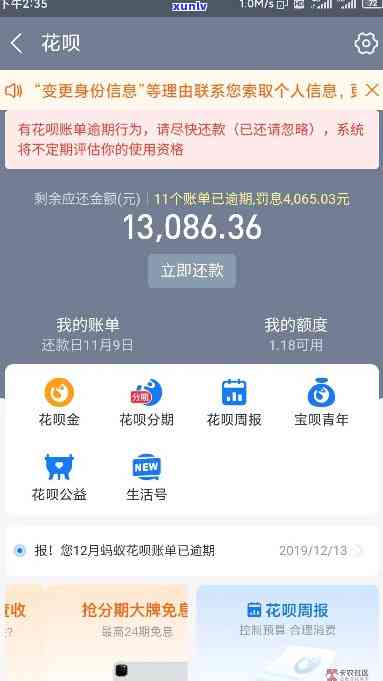 支付宝逾期花呗截图-支付宝逾期花呗截图能用吗