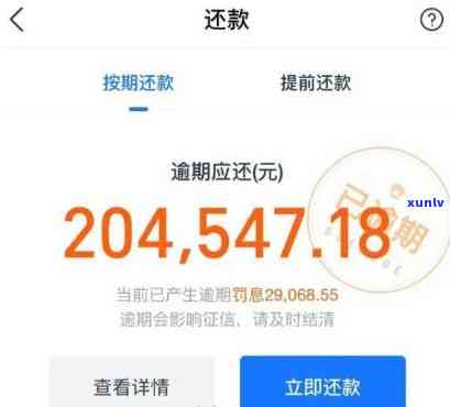 支付宝花呗逾期的图-支付宝花呗逾期图片清晰图