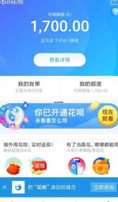 支付宝花呗付款逾期图-支付宝花呗逾期是什么界面图片