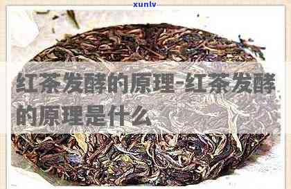 红茶发酵后能室外自然干燥吗，红茶发酵后的自然干燥：是否适合在室外进行？