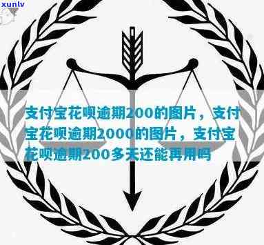 支付宝花呗逾期2万截图-支付宝花呗逾期200的图片